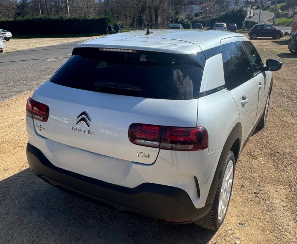 C4 3